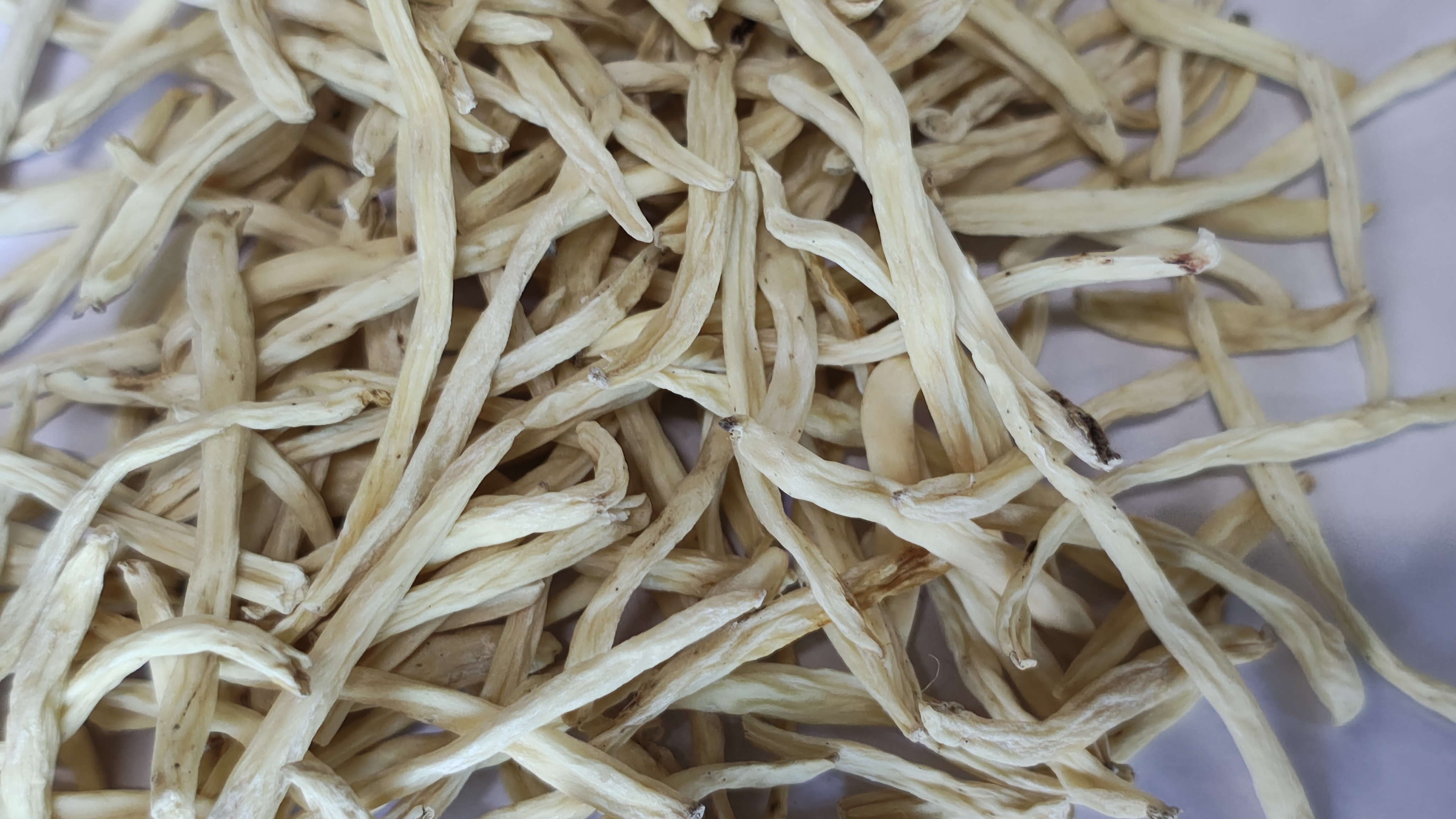 Safed Musli